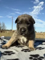 processed/2b27cf2f-322b-4d49-9c51-26fc0a19789f/listing/30fdab79-cadf-4921-a656-53f10a26840a/125b19d3-f053-431c-8443-3abbf74f74fd