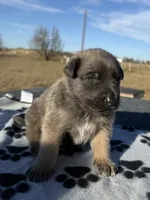 processed/2b27cf2f-322b-4d49-9c51-26fc0a19789f/listing/30fdab79-cadf-4921-a656-53f10a26840a/89249e71-8c93-4b20-8ad4-ef6bed287453