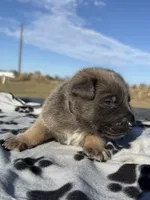 processed/2b27cf2f-322b-4d49-9c51-26fc0a19789f/listing/30fdab79-cadf-4921-a656-53f10a26840a/eef50c3c-59d7-455f-b4de-1dd4b932160c