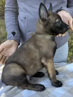 processed/2b27cf2f-322b-4d49-9c51-26fc0a19789f/listing/3ddec2de-fd3e-48ff-b775-be9be0f9ff37/5ec9e527-4fce-4166-9d93-f45bce7ae687