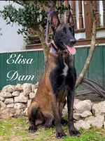 processed/2b27cf2f-322b-4d49-9c51-26fc0a19789f/listing/3ddec2de-fd3e-48ff-b775-be9be0f9ff37/7e24b1f0-43b9-429c-802b-4aa801b653f4