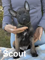 processed/2b27cf2f-322b-4d49-9c51-26fc0a19789f/listing/3ddec2de-fd3e-48ff-b775-be9be0f9ff37/b9cc8a18-251e-43c7-b40f-c5b1607d34ab