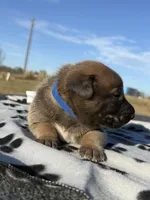 processed/2b27cf2f-322b-4d49-9c51-26fc0a19789f/listing/61f1e0d7-9933-4124-9bf8-85678cc52a19/2150d9f5-c008-4bca-8d30-bd7d0fdf0095