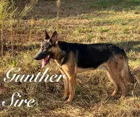 processed/2b27cf2f-322b-4d49-9c51-26fc0a19789f/listing/61f1e0d7-9933-4124-9bf8-85678cc52a19/4fed185e-1891-494f-8b90-3b30d28281a9