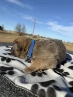 processed/2b27cf2f-322b-4d49-9c51-26fc0a19789f/listing/61f1e0d7-9933-4124-9bf8-85678cc52a19/666b0e8d-64e3-4bec-9efc-e6f3e6fae502