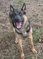 processed/2b27cf2f-322b-4d49-9c51-26fc0a19789f/listing/61f1e0d7-9933-4124-9bf8-85678cc52a19/b0d1ed3d-4baf-4a6e-9536-d1434bb41e31