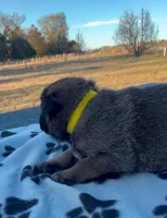 processed/2b27cf2f-322b-4d49-9c51-26fc0a19789f/listing/7e21425a-5b22-444a-9896-1573faf57395/adaf5c36-8b31-442f-b570-da4df1610f18