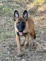 processed/2b27cf2f-322b-4d49-9c51-26fc0a19789f/listing/8639aa08-aaa9-4b92-a4b0-a2c65ffaec5b/47b08289-fe43-4af9-bdce-07aaad379c50