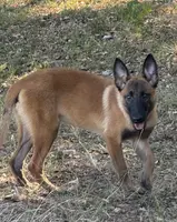 processed/2b27cf2f-322b-4d49-9c51-26fc0a19789f/listing/8639aa08-aaa9-4b92-a4b0-a2c65ffaec5b/6a170dd9-8f10-4ea1-b7d5-d1683f0f1622