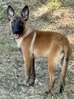 processed/2b27cf2f-322b-4d49-9c51-26fc0a19789f/listing/8639aa08-aaa9-4b92-a4b0-a2c65ffaec5b/6d0189df-d28a-44da-b2a8-7d55b7e90e58