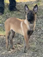 processed/2b27cf2f-322b-4d49-9c51-26fc0a19789f/listing/8639aa08-aaa9-4b92-a4b0-a2c65ffaec5b/f3d0cc4c-fcf8-4b37-814c-43fdbd2e0d95