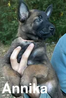 processed/2b27cf2f-322b-4d49-9c51-26fc0a19789f/listing/8e7a4a1f-2b2a-46f7-b7a8-210cecee3e50/18f1892f-401e-4dba-b5a4-a7f81dc63b23