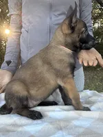 processed/2b27cf2f-322b-4d49-9c51-26fc0a19789f/listing/8e7a4a1f-2b2a-46f7-b7a8-210cecee3e50/546981fd-e1ad-406d-99f7-839d7a6c4697