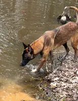 processed/2b27cf2f-322b-4d49-9c51-26fc0a19789f/listing/8e7a4a1f-2b2a-46f7-b7a8-210cecee3e50/67492bdf-ce08-444e-9b3f-402ac43e4249