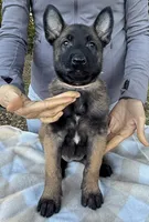 processed/2b27cf2f-322b-4d49-9c51-26fc0a19789f/listing/8e7a4a1f-2b2a-46f7-b7a8-210cecee3e50/a6e3c773-804a-4396-819b-5485f14d54a3