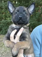 processed/2b27cf2f-322b-4d49-9c51-26fc0a19789f/listing/8e7a4a1f-2b2a-46f7-b7a8-210cecee3e50/d5259784-1059-4ed8-9e4b-9fa3fa5ca9db