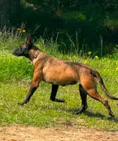 processed/2b27cf2f-322b-4d49-9c51-26fc0a19789f/listing/8e7a4a1f-2b2a-46f7-b7a8-210cecee3e50/d707e87d-a13c-4989-bbd6-b972ea98a2f5