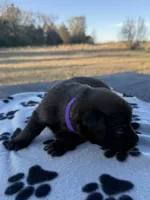 processed/2b27cf2f-322b-4d49-9c51-26fc0a19789f/listing/9f48ffbf-c90d-49cd-ac60-a03d2672d97b/c1d1eef0-441e-4293-9279-a95df0c1c919