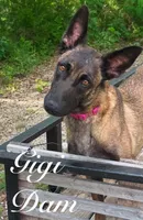 processed/2b27cf2f-322b-4d49-9c51-26fc0a19789f/listing/9faa5d33-54df-438b-b31f-bdf8f9e44f73/59655741-8186-4409-8732-439d4e6125a2