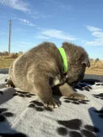 processed/2b27cf2f-322b-4d49-9c51-26fc0a19789f/listing/9faa5d33-54df-438b-b31f-bdf8f9e44f73/7185d0d8-72d0-4015-bd84-ef2fa0e2cea0