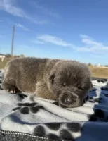 processed/2b27cf2f-322b-4d49-9c51-26fc0a19789f/listing/9faa5d33-54df-438b-b31f-bdf8f9e44f73/721dcd44-e224-4869-a165-2569d641d267