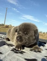 processed/2b27cf2f-322b-4d49-9c51-26fc0a19789f/listing/9faa5d33-54df-438b-b31f-bdf8f9e44f73/bb9baaa1-cd54-4c7e-ad7a-cb54249420d1