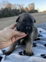 processed/2b27cf2f-322b-4d49-9c51-26fc0a19789f/listing/a577a5f0-07f4-42bd-9a3a-c45236337af1/3c906165-b4ac-4a9f-9de2-9715eee8ea7d