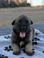 processed/2b27cf2f-322b-4d49-9c51-26fc0a19789f/listing/a577a5f0-07f4-42bd-9a3a-c45236337af1/adc9e0b6-c8bb-4402-ae07-fd0b093748ce