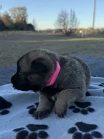 processed/2b27cf2f-322b-4d49-9c51-26fc0a19789f/listing/a577a5f0-07f4-42bd-9a3a-c45236337af1/b36ae7c4-f1a4-49c7-b53d-bec3f1f42d2d