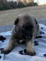 processed/2b27cf2f-322b-4d49-9c51-26fc0a19789f/listing/a577a5f0-07f4-42bd-9a3a-c45236337af1/c4ceb649-1de5-4174-bcca-7400843f6c00