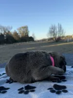 processed/2b27cf2f-322b-4d49-9c51-26fc0a19789f/listing/a577a5f0-07f4-42bd-9a3a-c45236337af1/f7193eb6-f3cb-4401-a568-f73fd0704f32