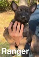 processed/2b27cf2f-322b-4d49-9c51-26fc0a19789f/listing/d0aa5de0-3ef2-4946-a98f-63a249a4cd89/ebbb9303-da60-4a91-9fb8-91bf217d9d28