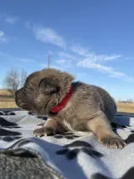 processed/2b27cf2f-322b-4d49-9c51-26fc0a19789f/listing/da476e16-14aa-489e-b6c4-86f000b24ddb/2b486979-95b5-483e-95af-c53a2f071ceb