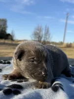 processed/2b27cf2f-322b-4d49-9c51-26fc0a19789f/listing/da476e16-14aa-489e-b6c4-86f000b24ddb/f6ae6059-68c7-4c65-a147-3d66ec33ffe1