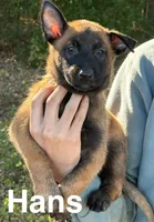 processed/2b27cf2f-322b-4d49-9c51-26fc0a19789f/listing/f1a2fa67-09af-493d-9c18-db898a55b4b5/6c517a86-52ed-4edf-83b0-cc2afcf6d133