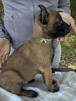 processed/2b27cf2f-322b-4d49-9c51-26fc0a19789f/listing/f1a2fa67-09af-493d-9c18-db898a55b4b5/8512ae0e-2511-4454-8486-90fab58ff8a0