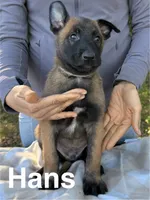 processed/2b27cf2f-322b-4d49-9c51-26fc0a19789f/listing/f1a2fa67-09af-493d-9c18-db898a55b4b5/b70f1ba9-3acf-4821-bfb7-0ea200d4c8f5