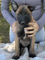 processed/2b27cf2f-322b-4d49-9c51-26fc0a19789f/listing/f1a2fa67-09af-493d-9c18-db898a55b4b5/de78698e-9997-4a82-9986-edb260736511