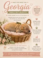 Georgia , a female Goldendoodle for sale in Clarkridge, AR – 1 of 1