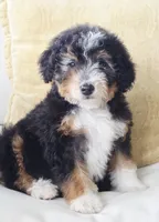 processed/2b2ec75c-0478-4a27-afa7-34dc4ef2ebbf/listing/53f6cfff-bafe-46d3-916a-0b5a434d4c05/3c63cd2a-1b0b-4d0d-abe5-ccea19e0e628