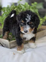 processed/2b2ec75c-0478-4a27-afa7-34dc4ef2ebbf/listing/53f6cfff-bafe-46d3-916a-0b5a434d4c05/67f41e73-e15e-4ba9-a654-df6a1c20e201