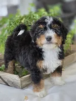 processed/2b2ec75c-0478-4a27-afa7-34dc4ef2ebbf/listing/53f6cfff-bafe-46d3-916a-0b5a434d4c05/92d7a15c-f805-4366-8c68-db54553634e7