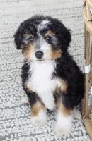 processed/2b2ec75c-0478-4a27-afa7-34dc4ef2ebbf/listing/53f6cfff-bafe-46d3-916a-0b5a434d4c05/e52c30fd-70b6-4f9a-bd57-7f2276b78623