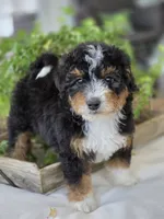 processed/2b2ec75c-0478-4a27-afa7-34dc4ef2ebbf/listing/53f6cfff-bafe-46d3-916a-0b5a434d4c05/e5930f09-8bb9-443f-8145-c9a4334f194e