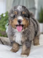 processed/2b2ec75c-0478-4a27-afa7-34dc4ef2ebbf/listing/76a6cfd8-9f7c-4ab8-a972-0e9f24a86aeb/84516186-b396-4128-8aa3-52441a6018d4