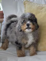 processed/2b2ec75c-0478-4a27-afa7-34dc4ef2ebbf/listing/76a6cfd8-9f7c-4ab8-a972-0e9f24a86aeb/a25c3ab4-1b0a-4ca3-bee9-275a98d36094