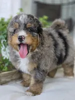 processed/2b2ec75c-0478-4a27-afa7-34dc4ef2ebbf/listing/76a6cfd8-9f7c-4ab8-a972-0e9f24a86aeb/b9fb3fd6-d7ea-48f1-8319-1bd6f3474480