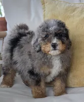 processed/2b2ec75c-0478-4a27-afa7-34dc4ef2ebbf/listing/76a6cfd8-9f7c-4ab8-a972-0e9f24a86aeb/fd50ae0a-afb2-4944-b57a-de121cff375a