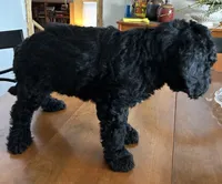 processed/2b30d04d-fc04-4b8e-b909-ea12ba3ea399/listing/2b05dfbc-a719-4125-924a-988f0d3f1008/5f81a96a-193a-49c8-a589-c3e17aac0865