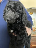 processed/2b30d04d-fc04-4b8e-b909-ea12ba3ea399/listing/2b05dfbc-a719-4125-924a-988f0d3f1008/c4dfffa4-bfab-4082-8bd9-010f9afef4bc